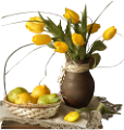 tulipán_525