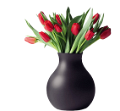tulipán_530