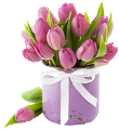 tulipán_549