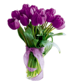 tulipán_559