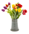 tulipán_562