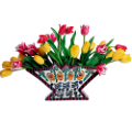 tulipán_575