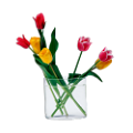 tulipán_578