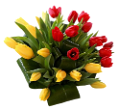 tulipán_590