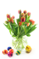 tulipán_600