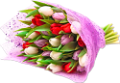 tulipán_606