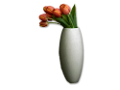 tulipán_607