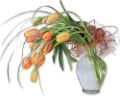 tulipán_608