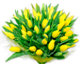 tulipán_609