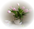 tulipán_614