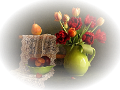 tulipán_615