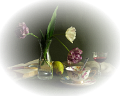 tulipán_616