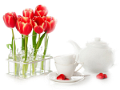 tulipán_620