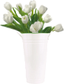 tulipán_639