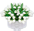 tulipán_641