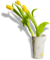tulipán_71