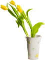 tulipán_73