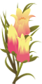 tulipán_98
