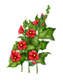 tavaszi_vegyesvirág_103