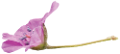 tavaszi_vegyesvirág_33