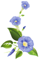 HAJNALKA