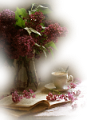 ORGONA