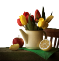 TULIPÁN
