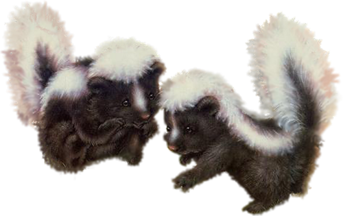 borz_3.png