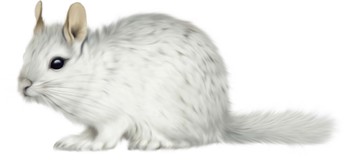 eger_11.png