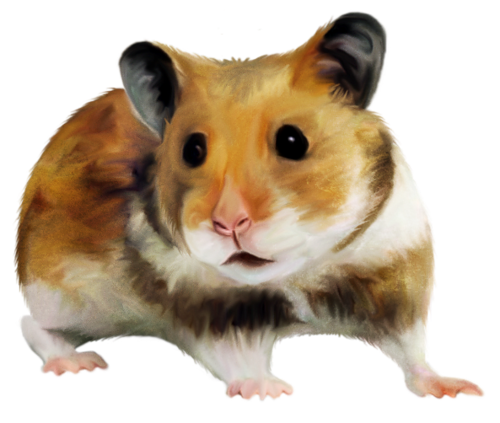 horcsog_11.png
