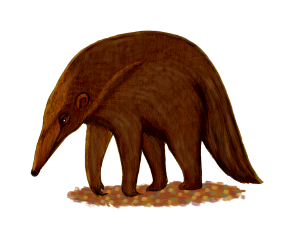 hangyasz_4.png