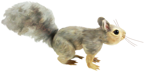 mokus_107.png