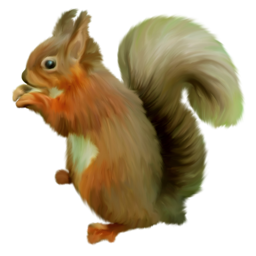 mokus_123.png