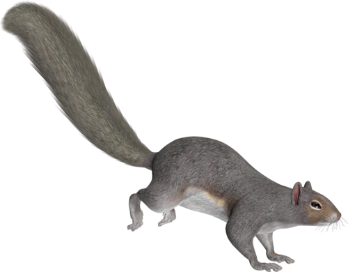 mokus_126.png