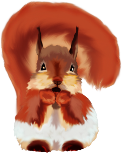 mokus_137.png