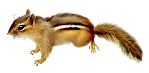 mokus_138.png