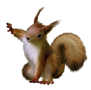 mokus_143.png