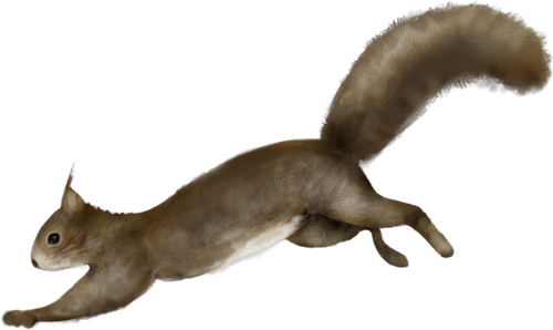 mokus_160.png