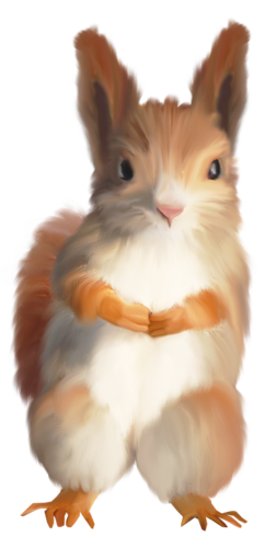 mokus_2.png