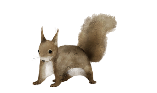 mokus_48.png