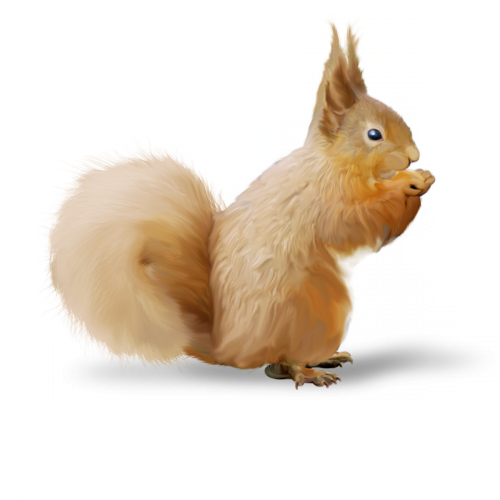 mokus_76.png