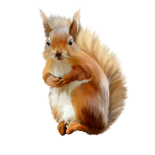 mokus_86.png
