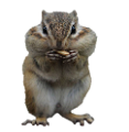 mokus_121