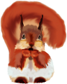 mokus_137