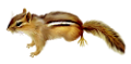mokus_138