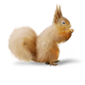 mokus_76