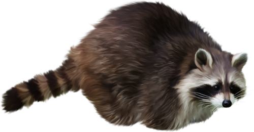 mosomedve_1.png