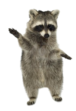 mosomedve_10.png