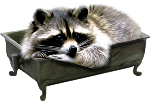 mosomedve_15.png