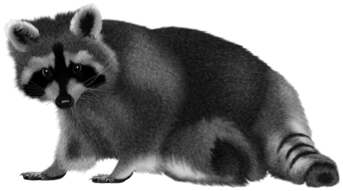 mosomedve_16.png
